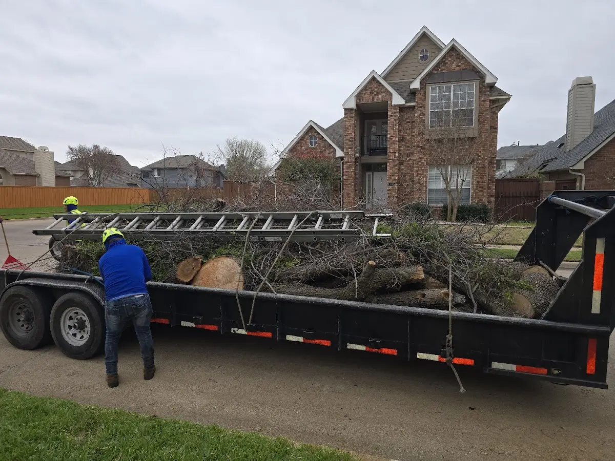 Expert Crown Reduction with proper safety equipment in Lawrence